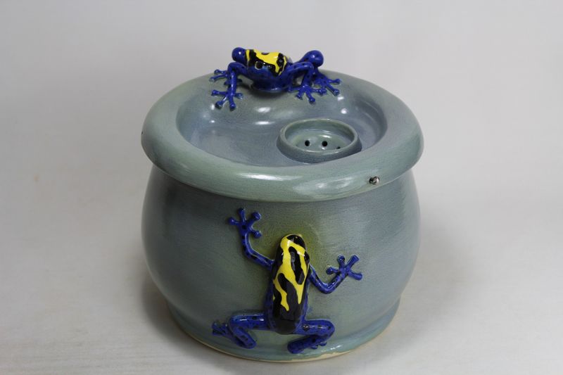 secured pet fountain with frog spout