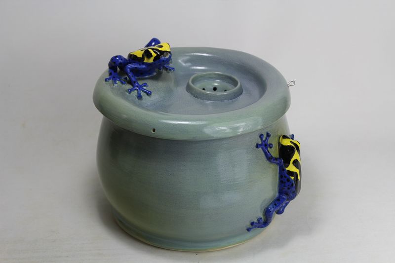 secured pet fountain with frog spout